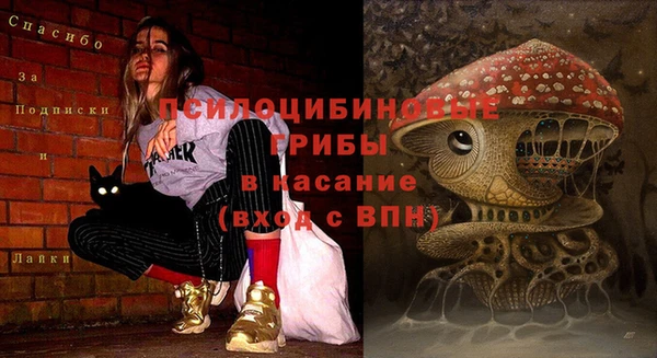 бошки Магас
